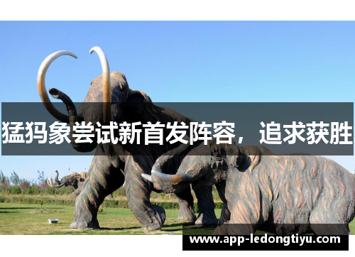 猛犸象尝试新首发阵容，追求获胜