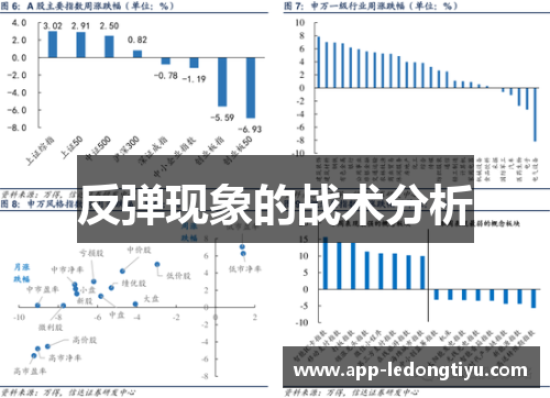 反弹现象的战术分析